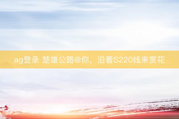 ag登录 楚雄公路@你，沿着S220线来赏花